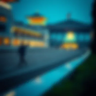 Magnificent 홀짝의 세계: 베팅과 전략