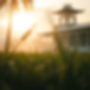 Magnificent 토트넘 토토의 세계: 전략과 통찰