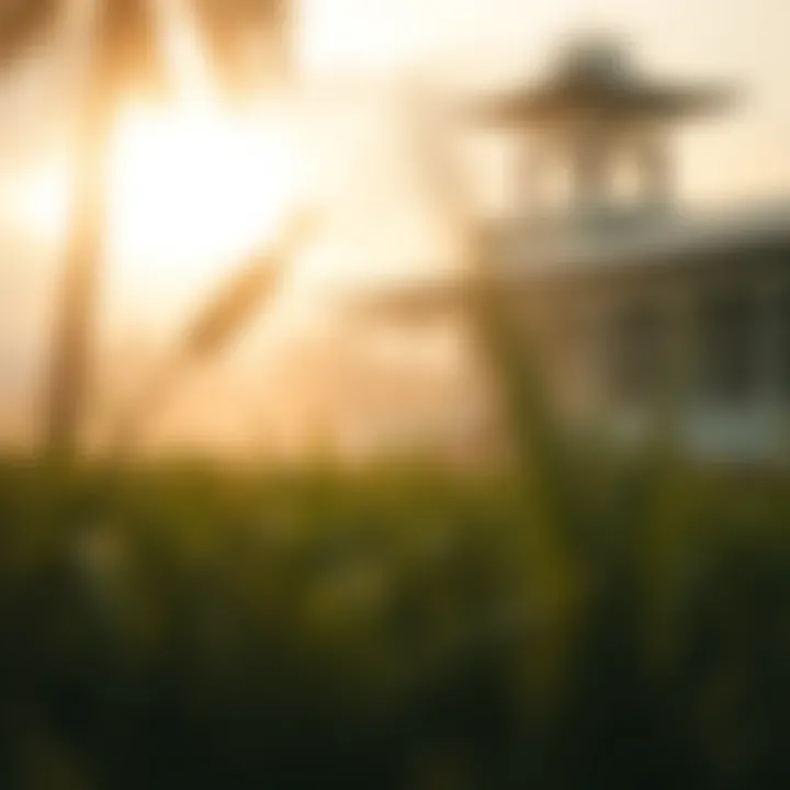 Magnificent 토트넘 토토의 세계: 전략과 통찰